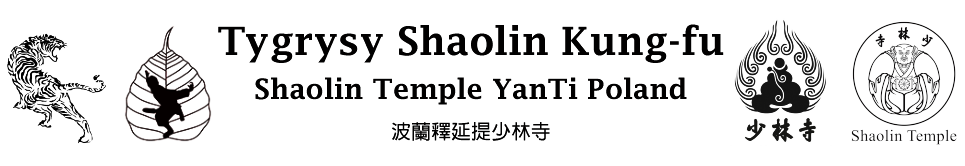 Shaolin Temple Poland banner logo